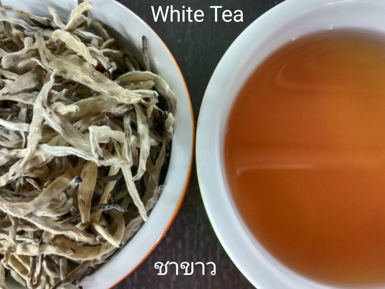 ชาขาวอัสสัม ออร์แกนิค (Organic assam white tea)